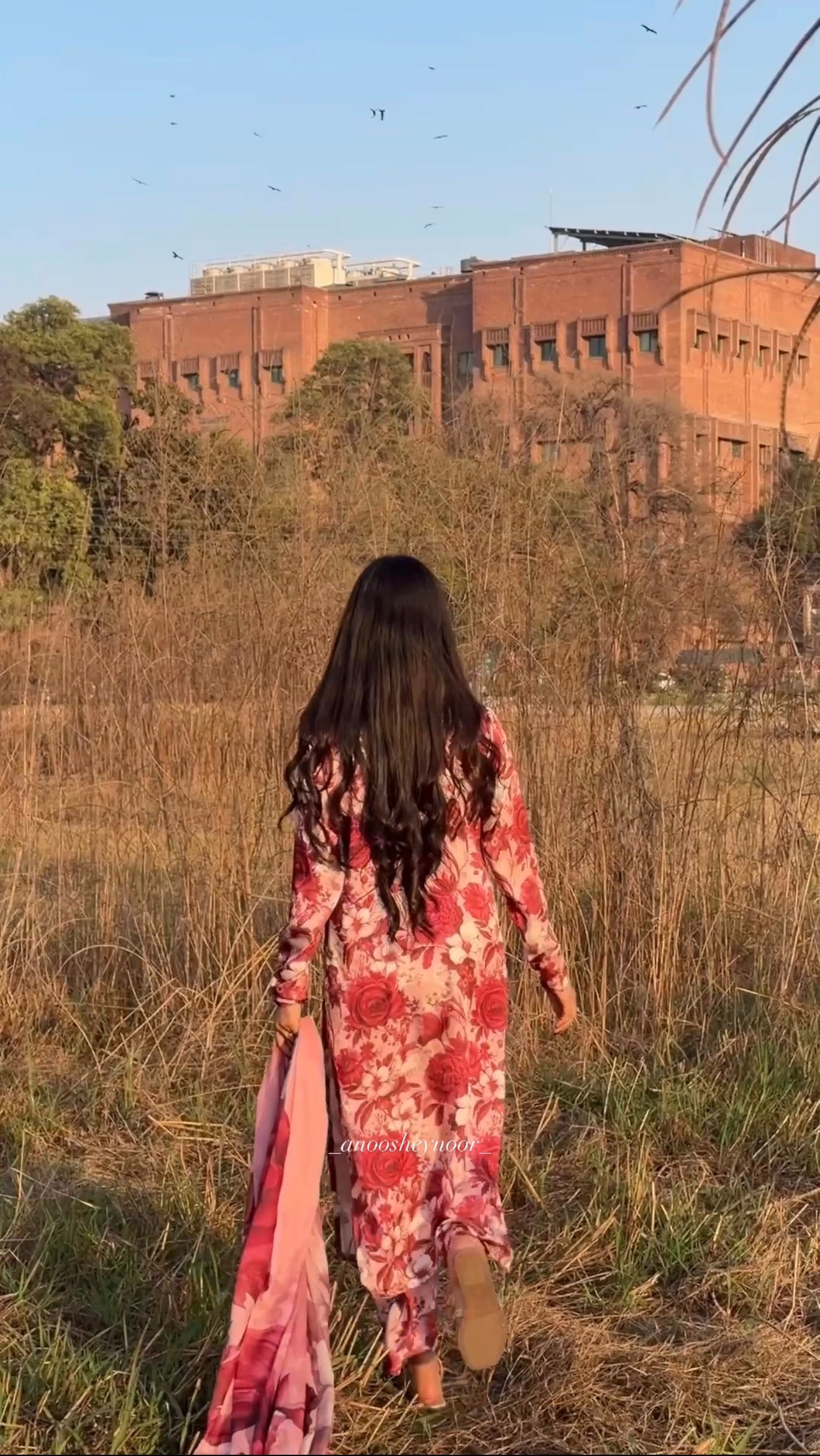 Carmine (Silk-3 piece)